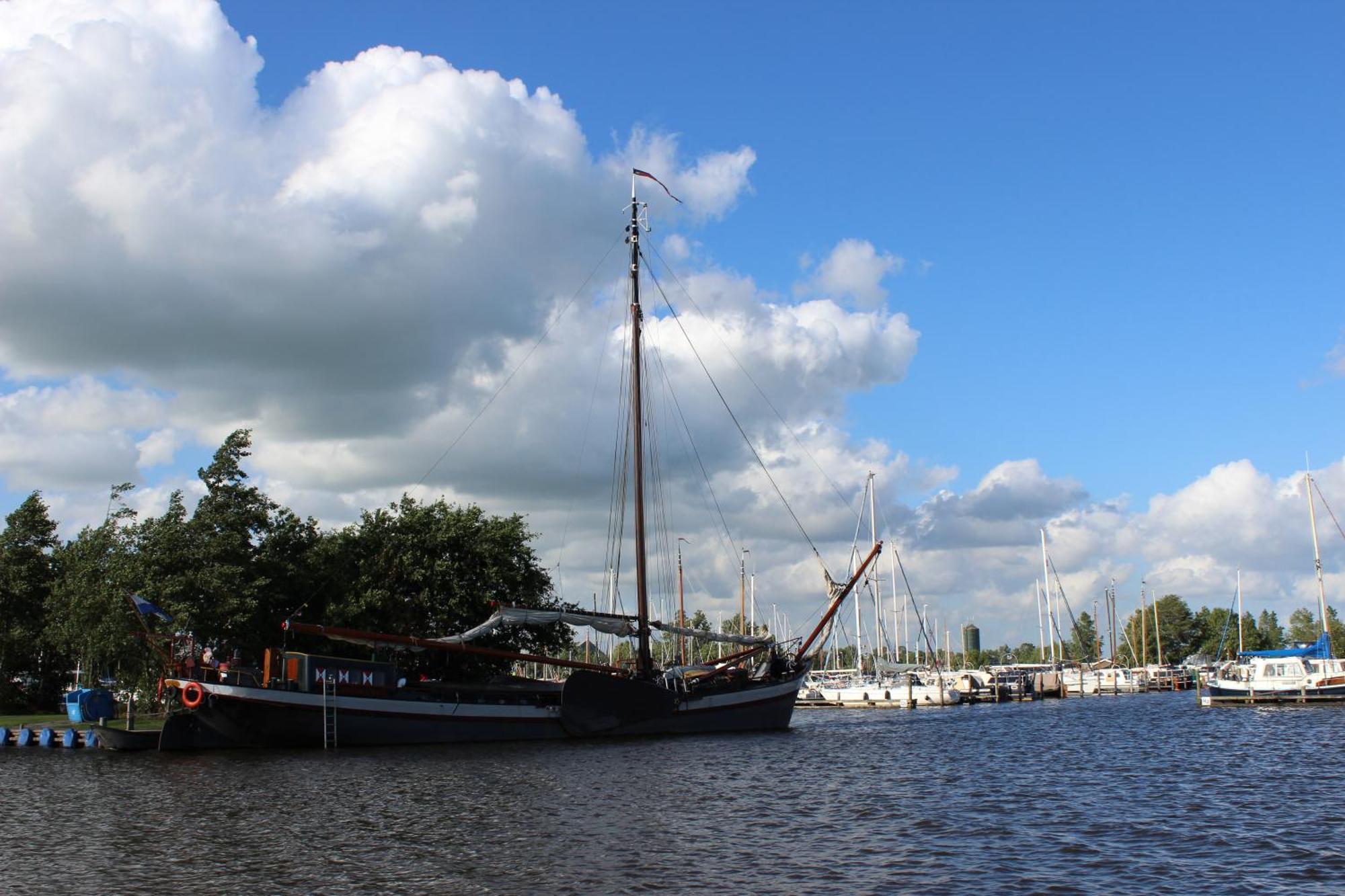 Wartena Hoeve - Vega B&B Bagian luar foto